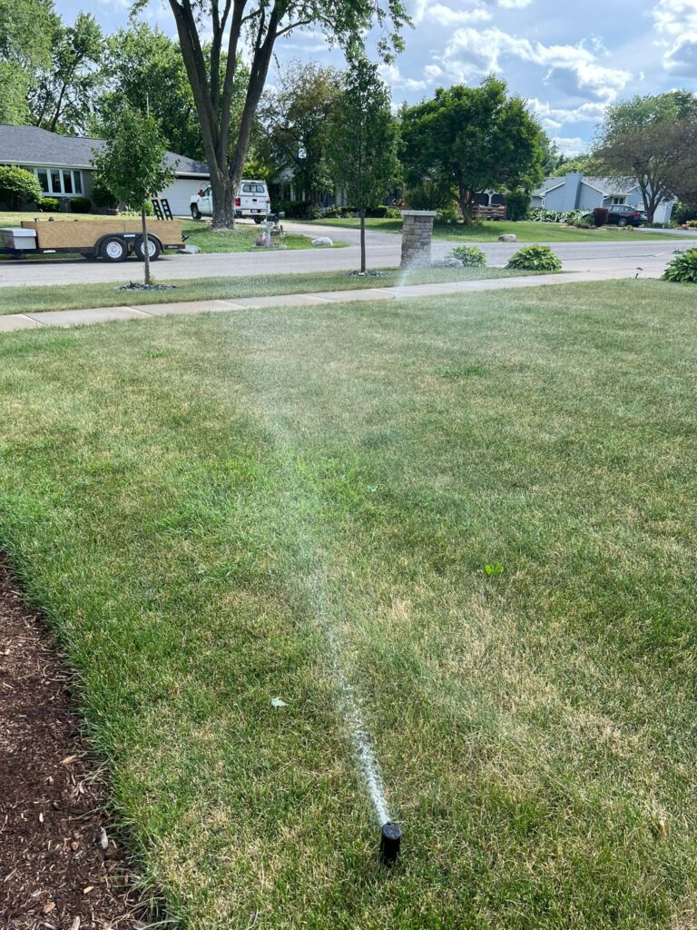Sprinkler Montoya