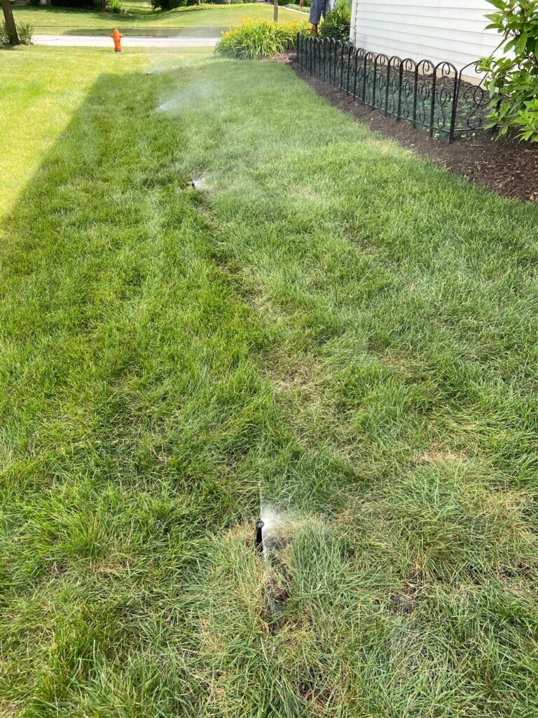Sprinkler Montoya Irrigation