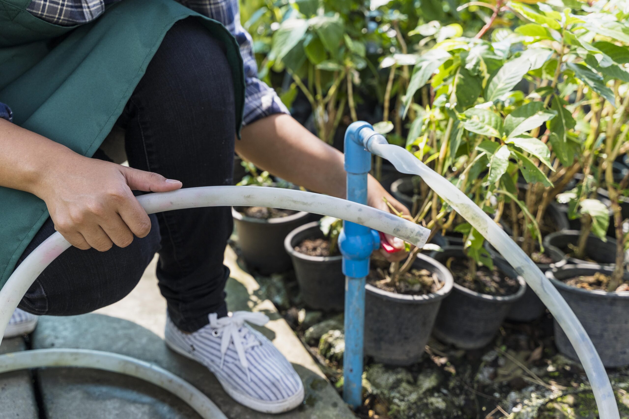 Water efficiency: How to save water with automated irrigation